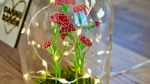 Rote Nelken Frühling