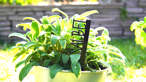 Acryl laserschneiden