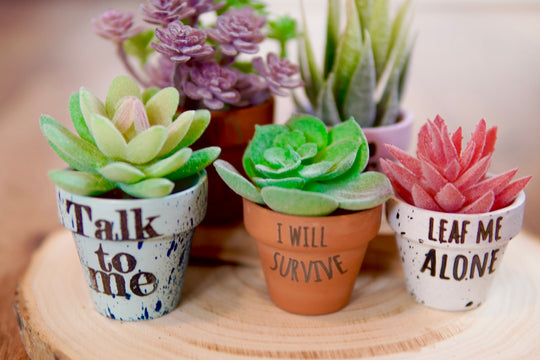 Engrave flower pots with sayings - Mr Beam Tutorial